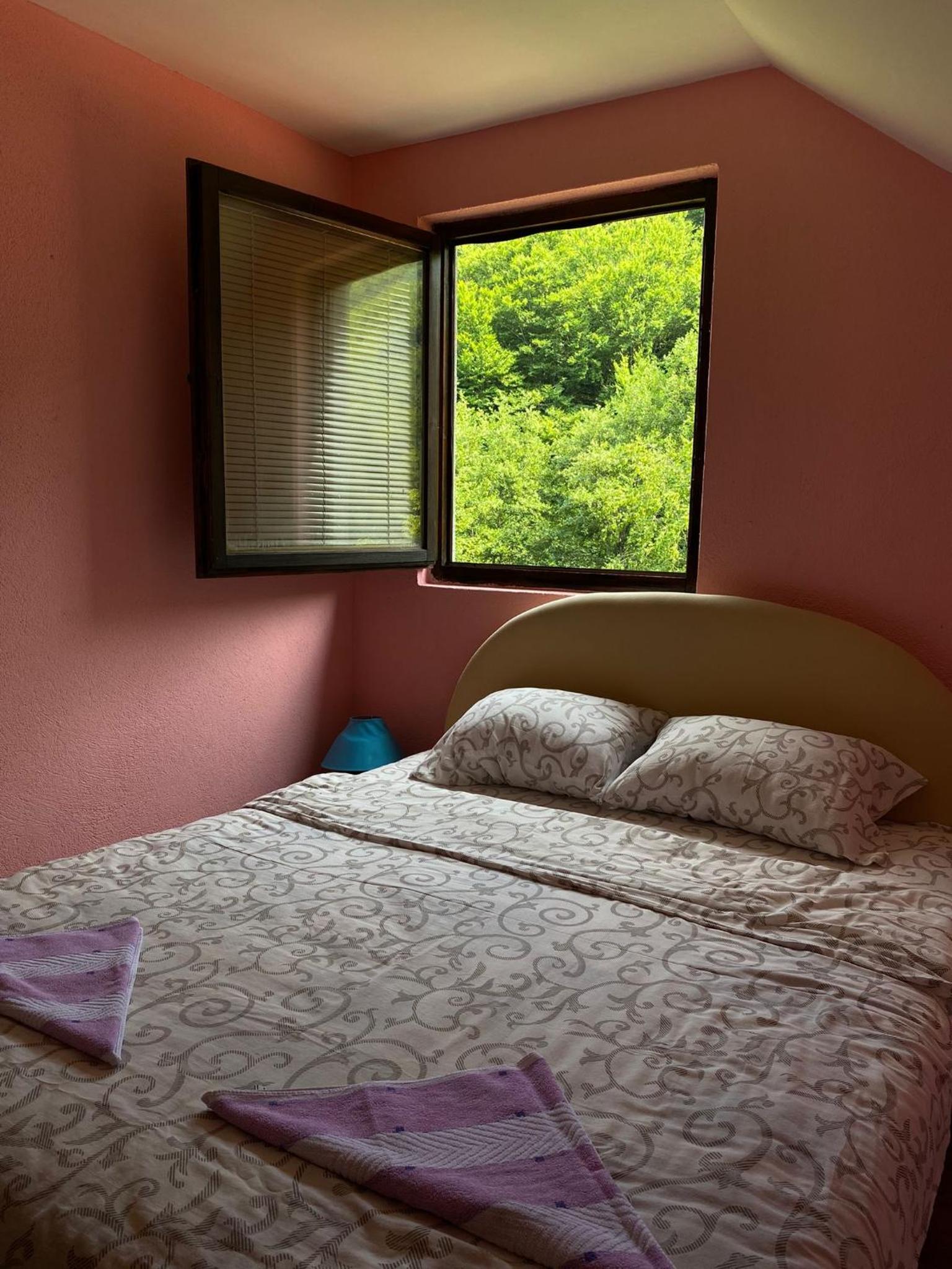 Apartmani Jana view 2