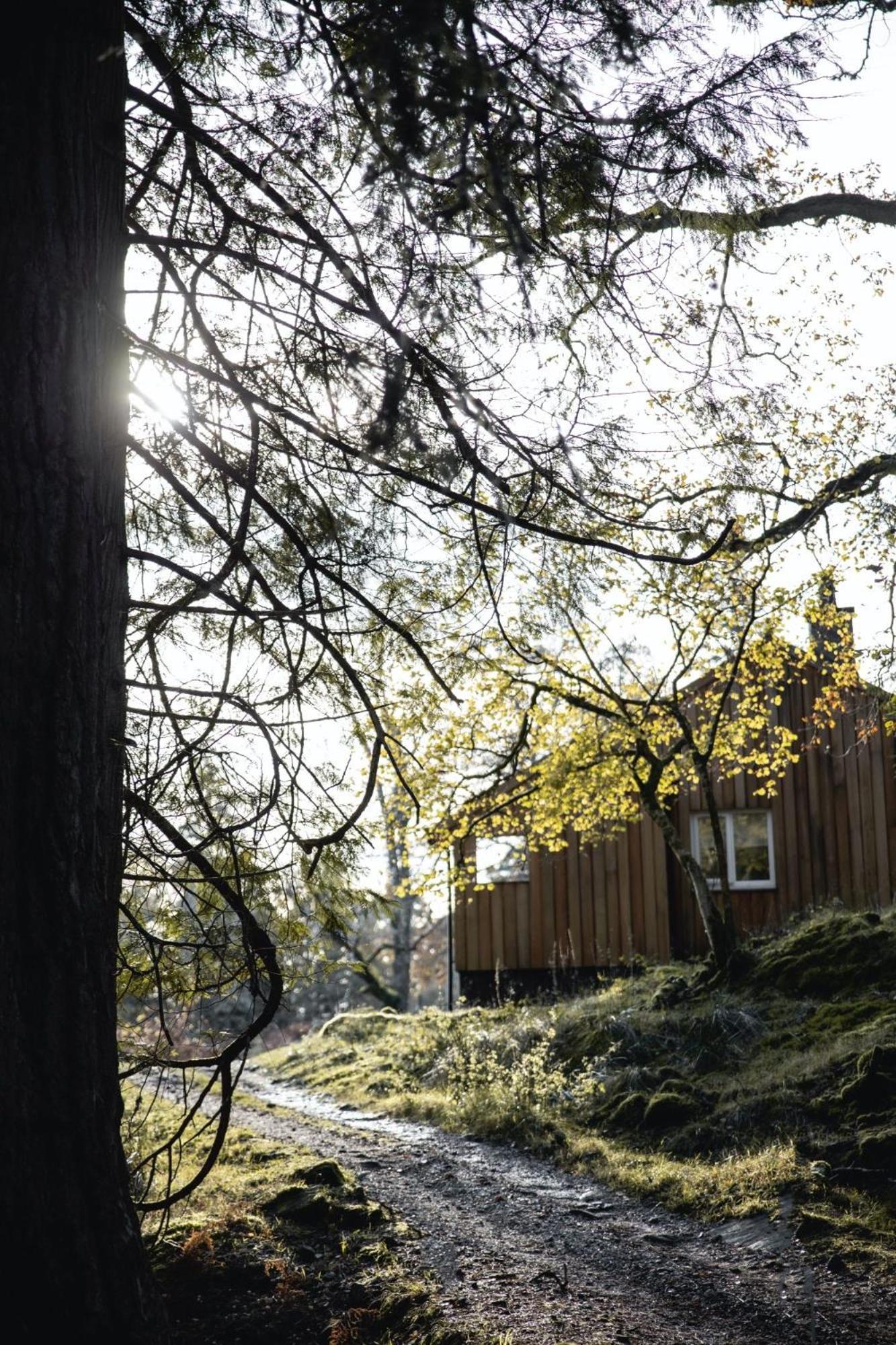 Timber Cottage