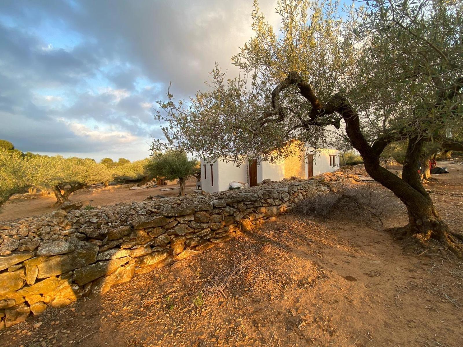Finca El Olivar