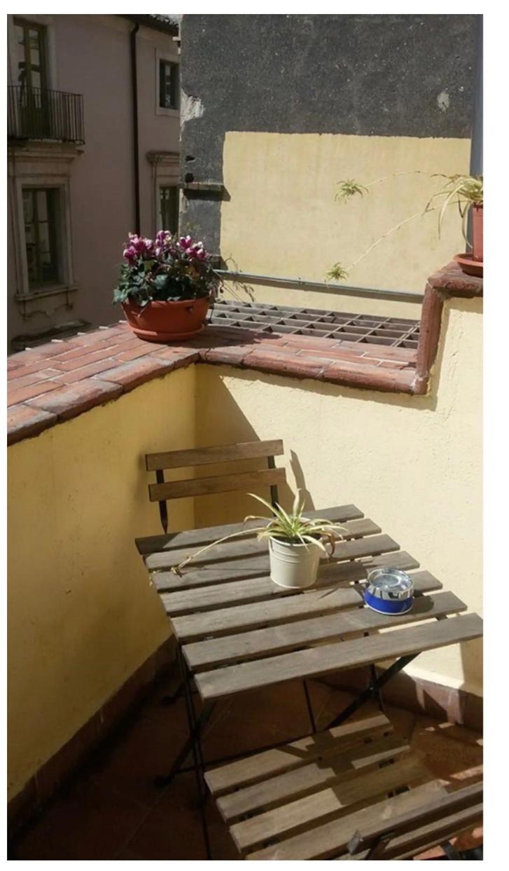 La casa Reina