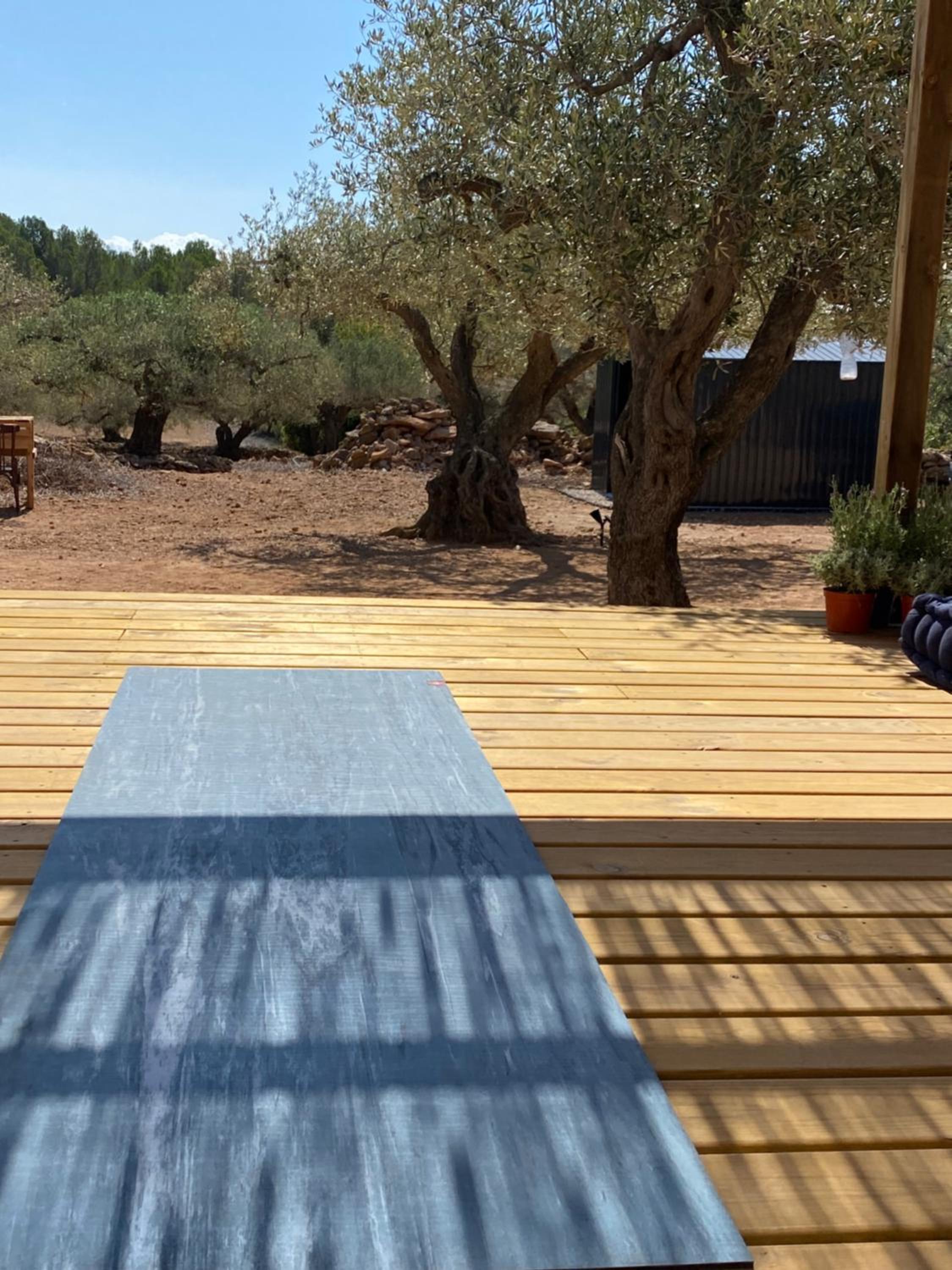 Finca El Olivar