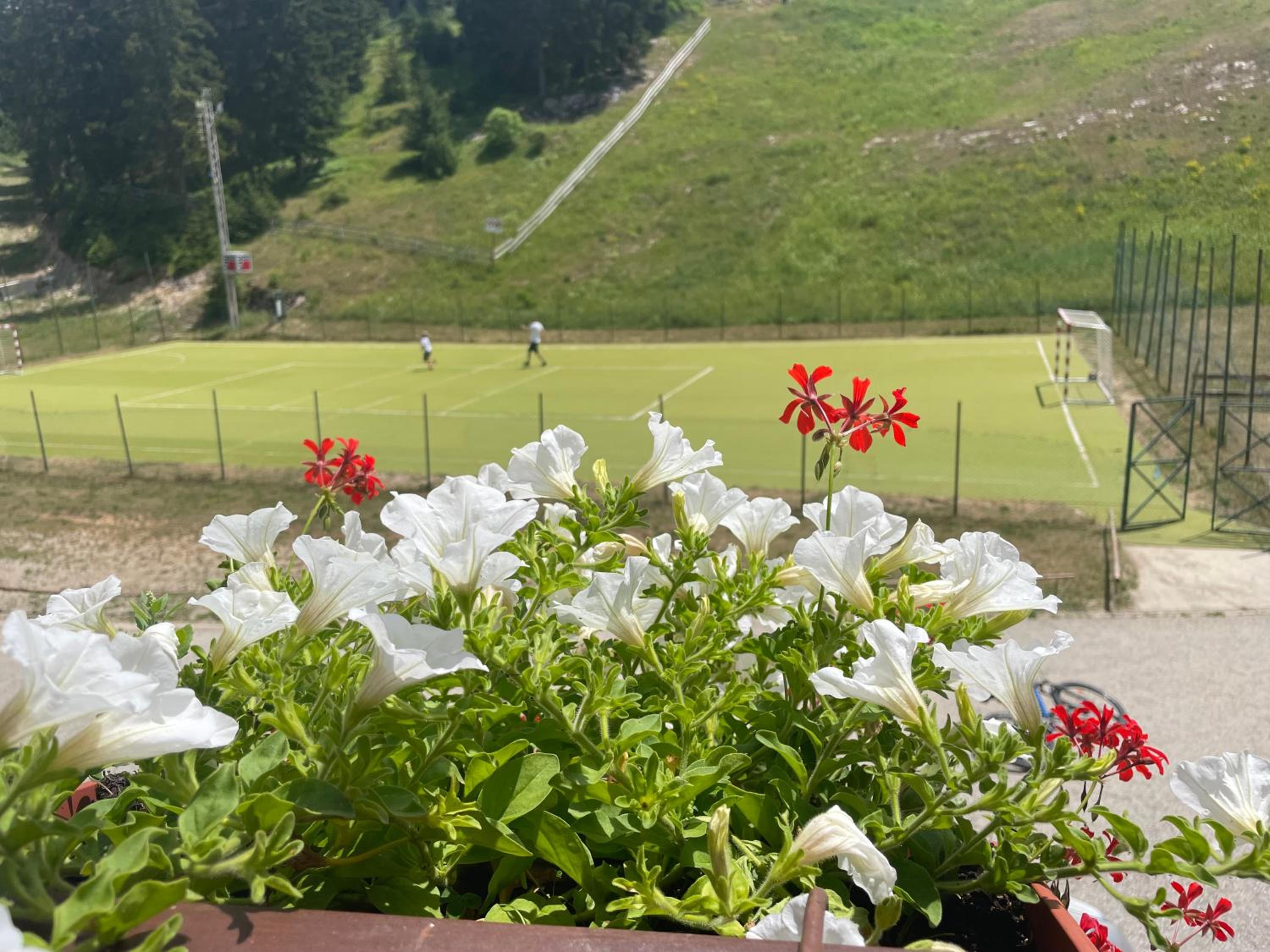 Pansion Vlašić Ski