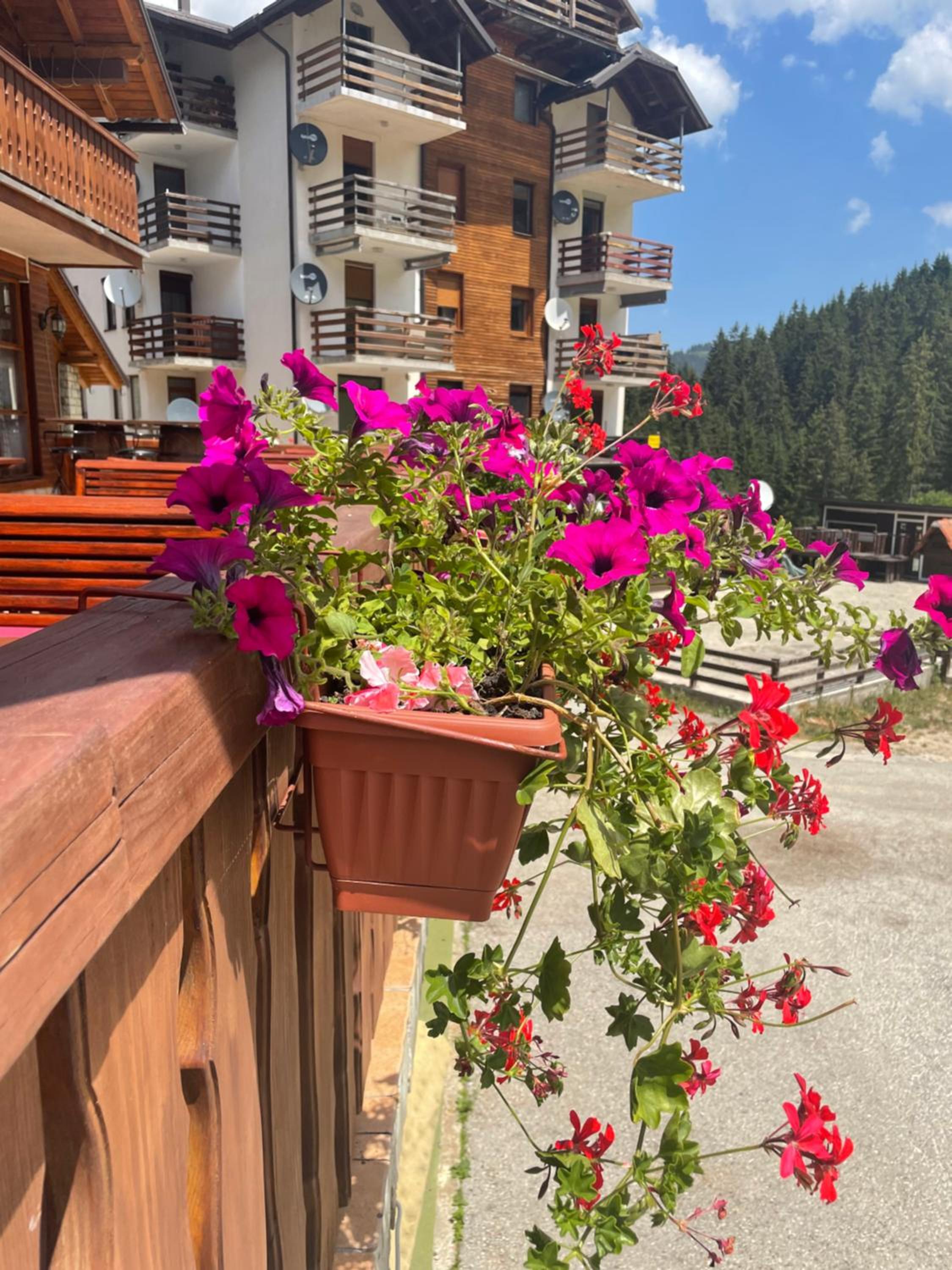 Pansion Vlašić Ski