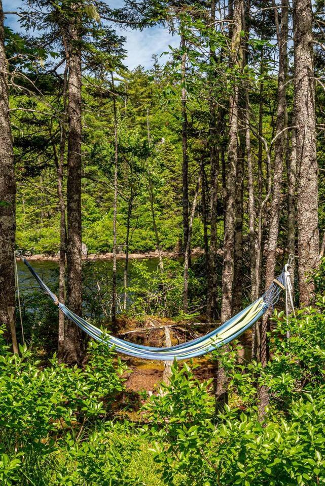 Private Getaway on McGrath Lake