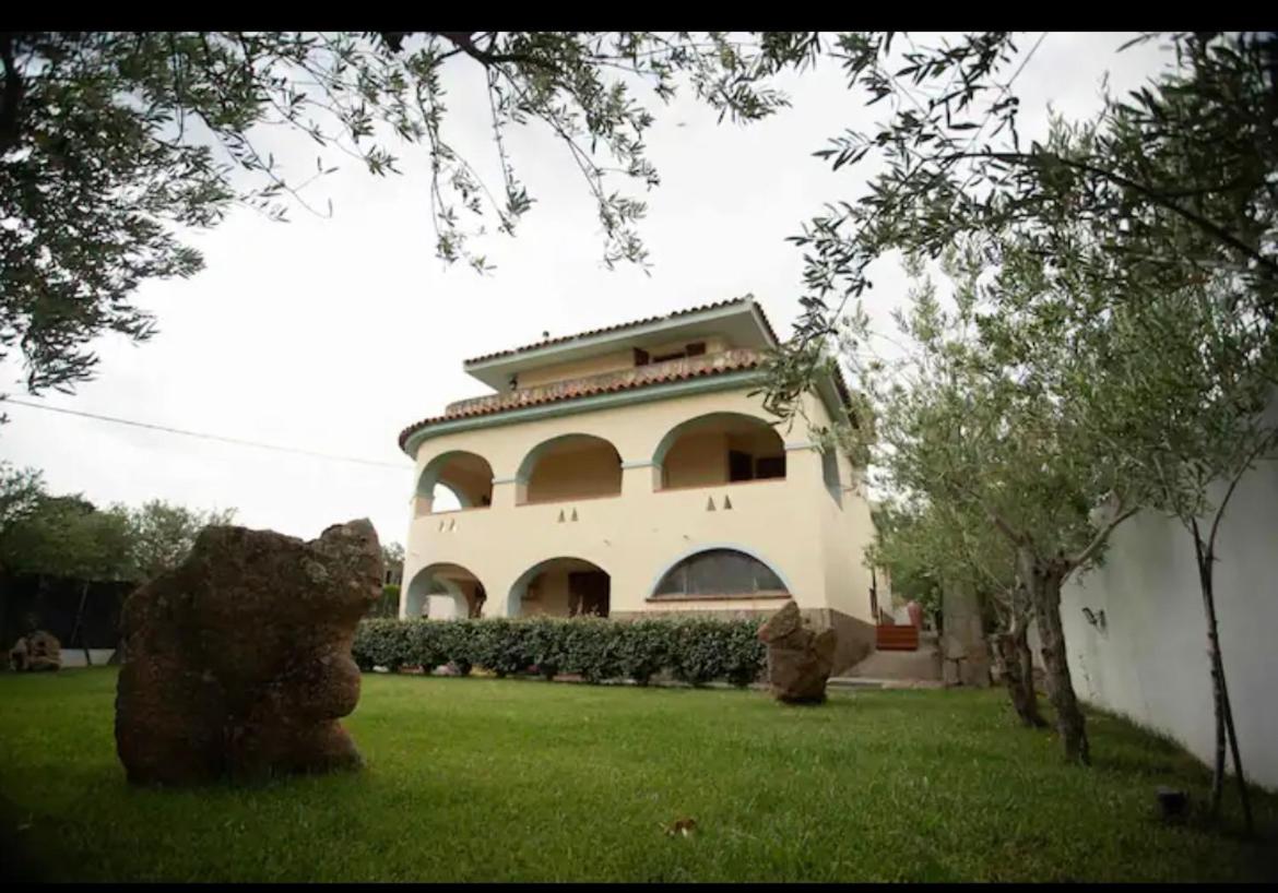 Photo 31