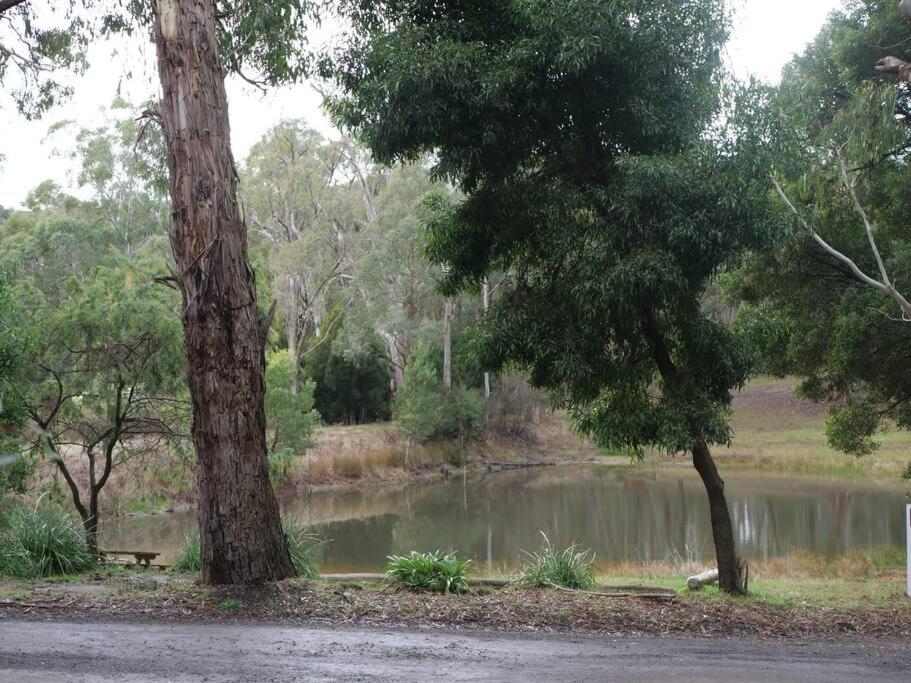 Kookaburra Retreat