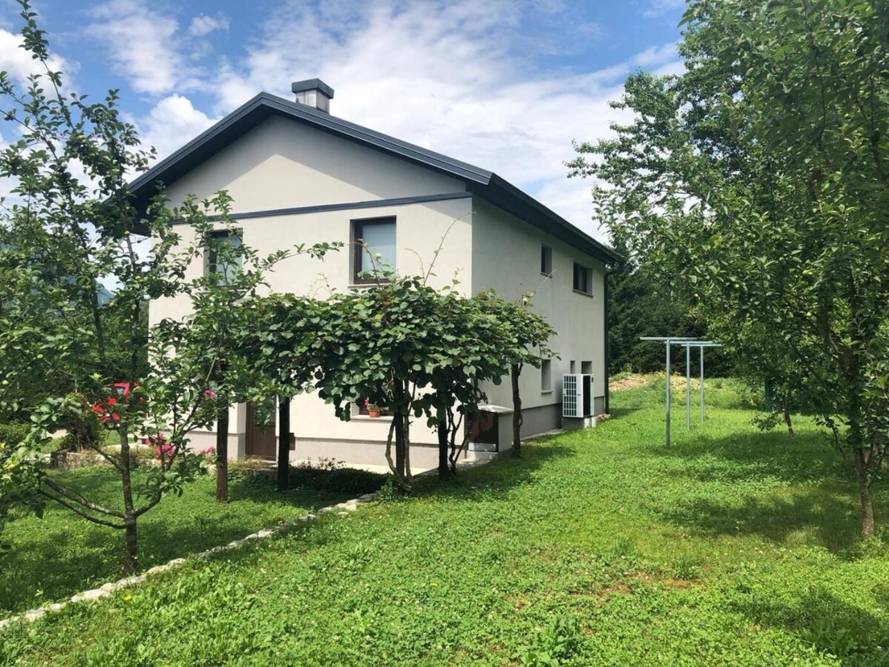 Photo 23