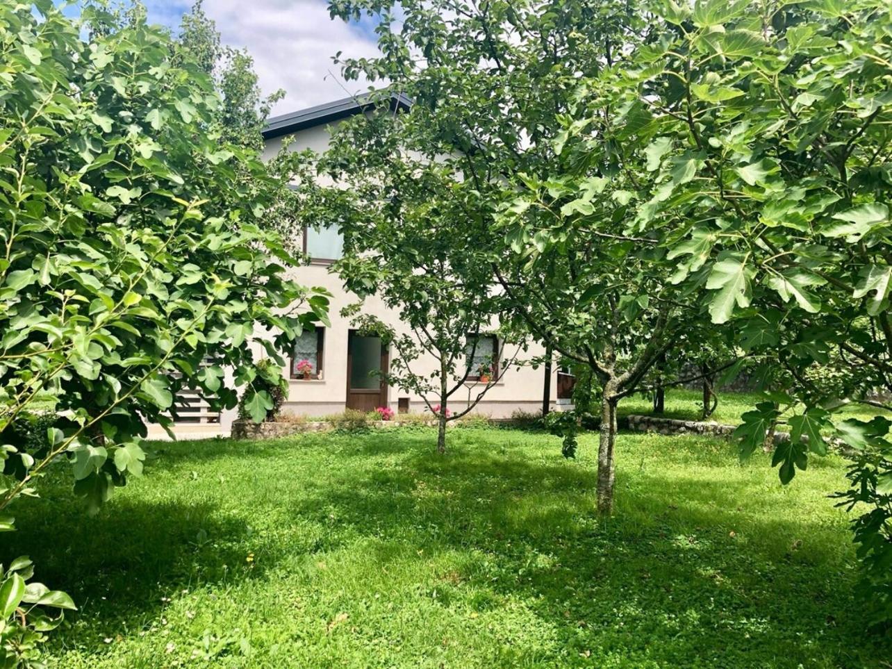 Photo 24