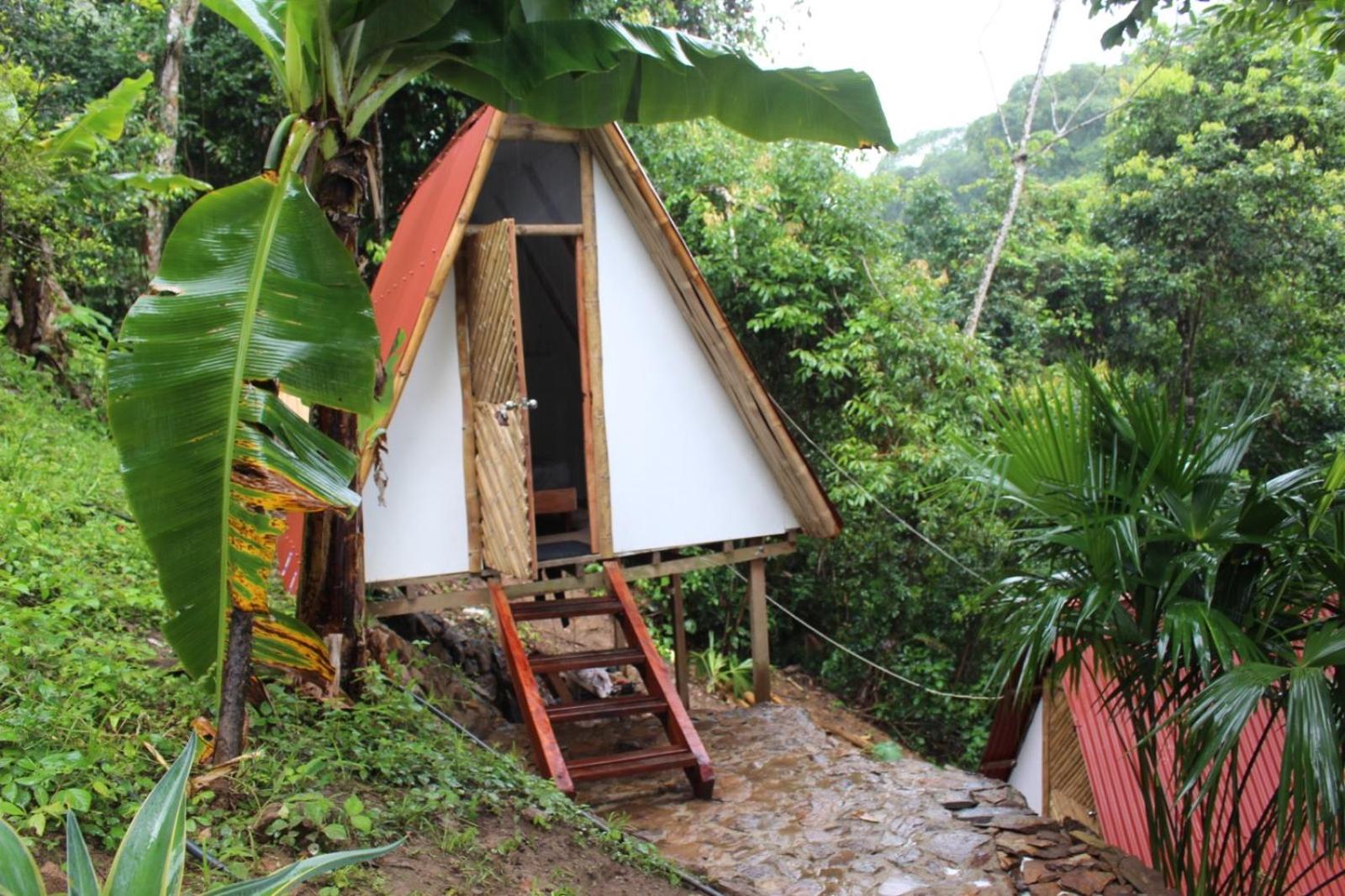 Cascada escondida glamping
