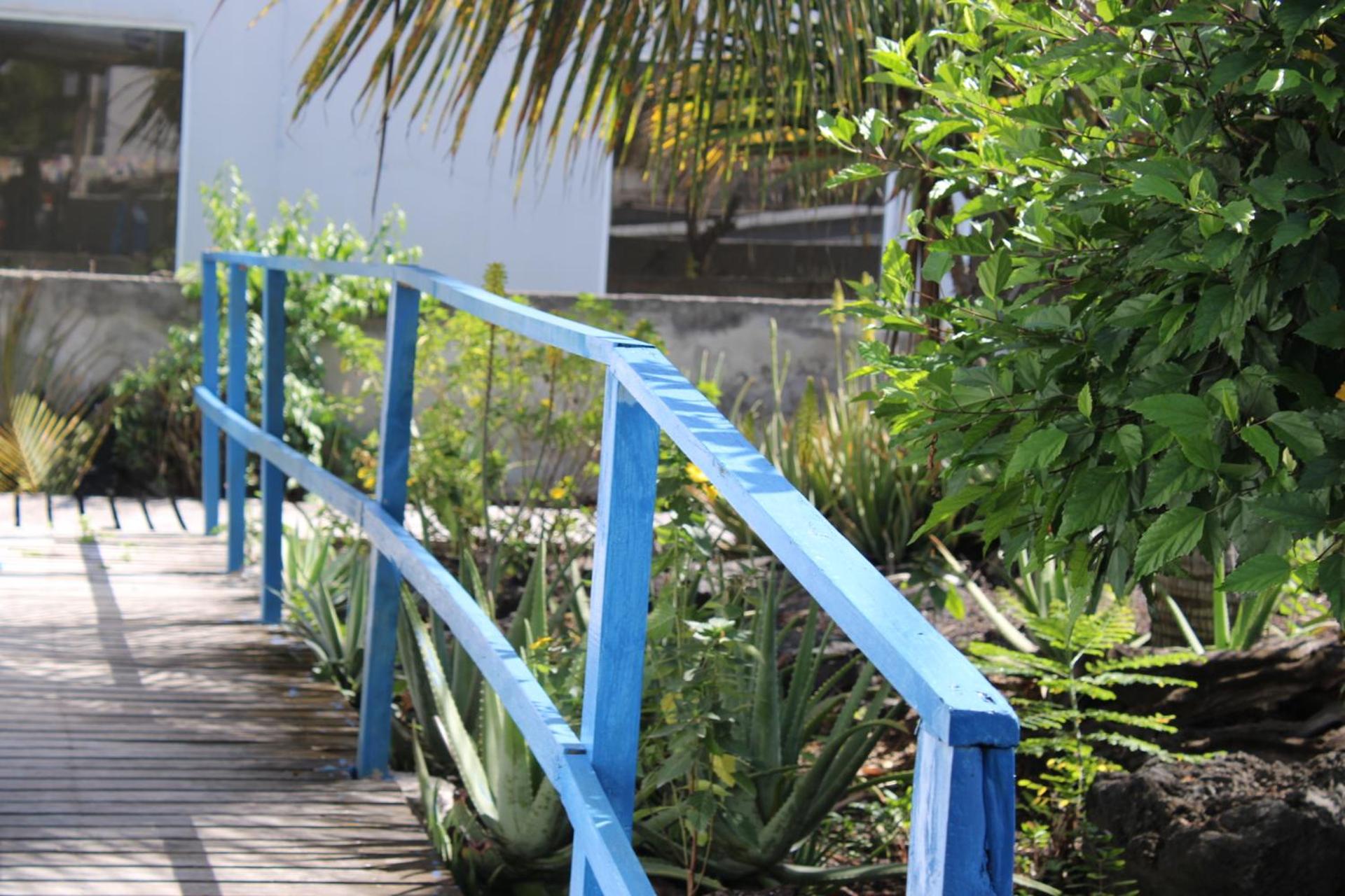Las Gardenias Hostel - Starlink Internet
