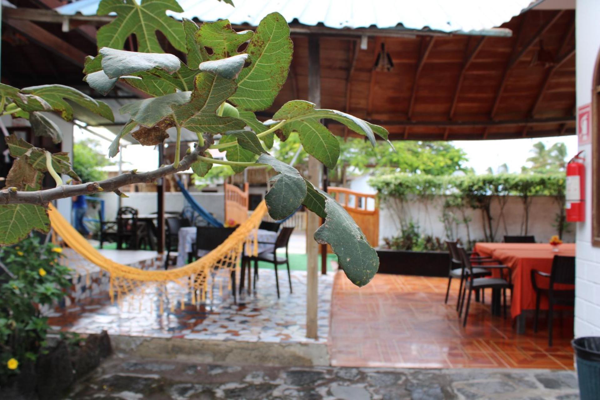 Las Gardenias Hostel - Starlink Internet