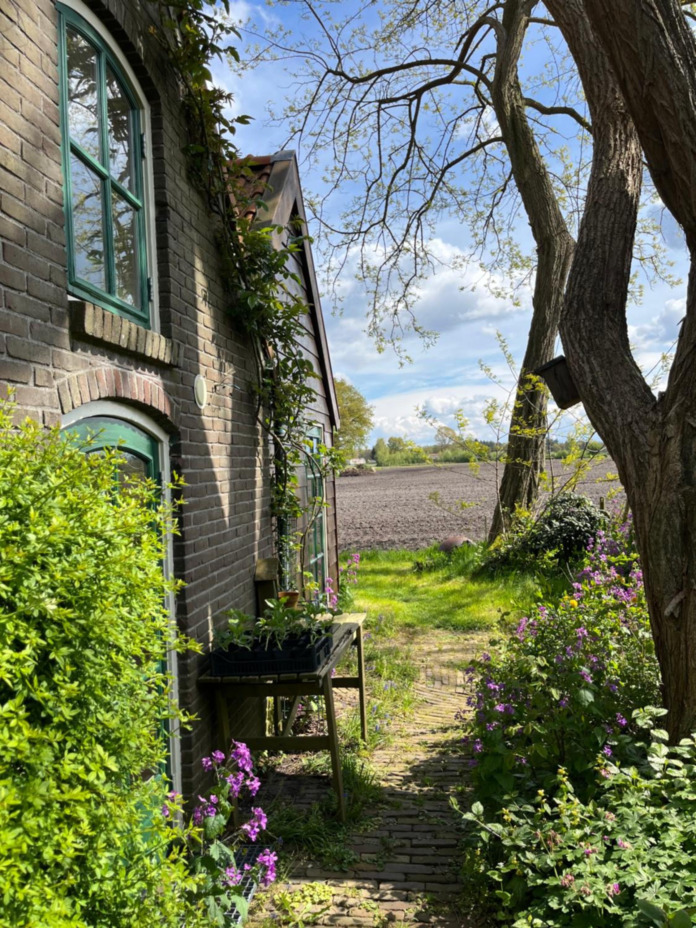 Doevelsteeg Ommen