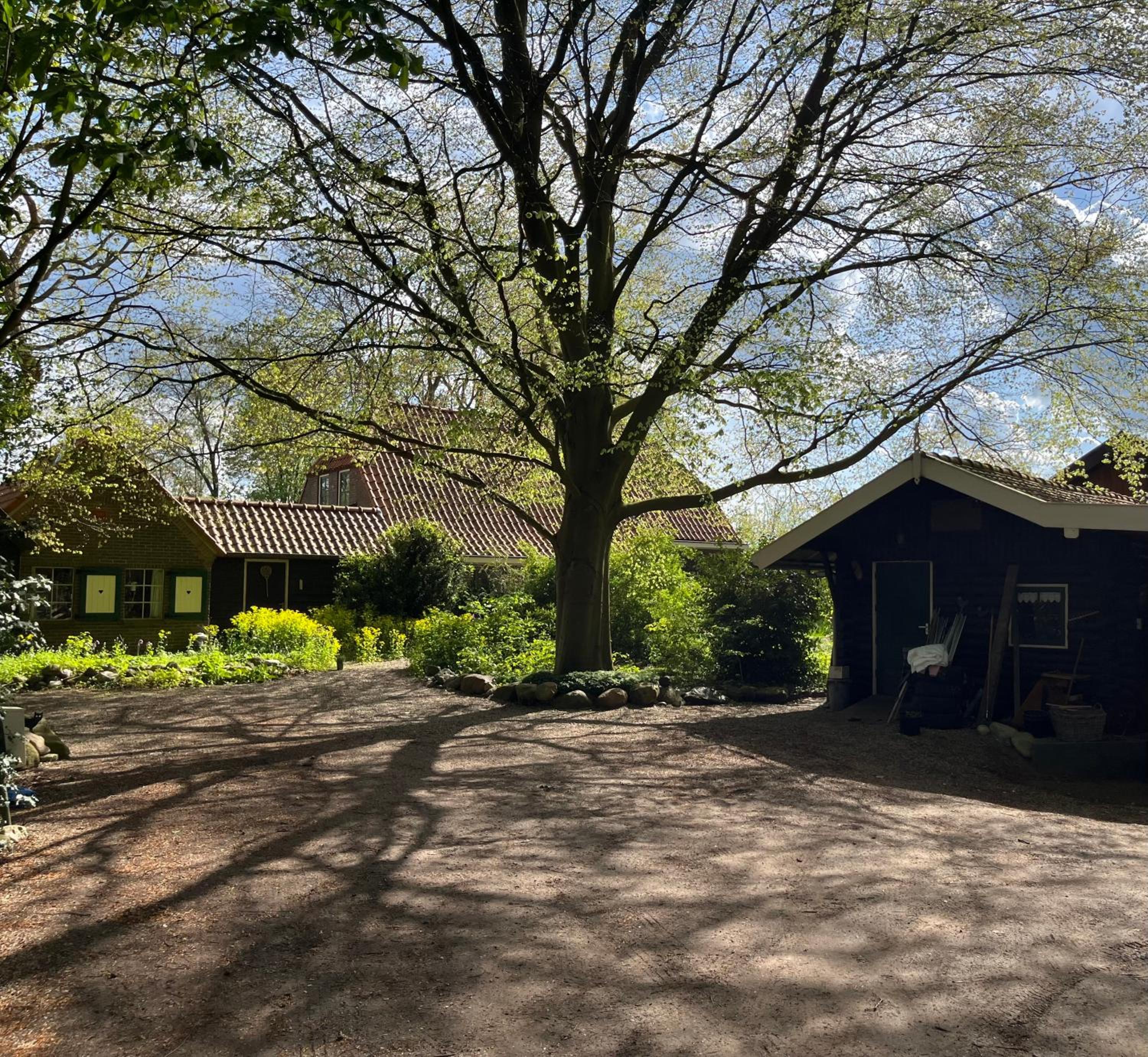 Doevelsteeg Ommen