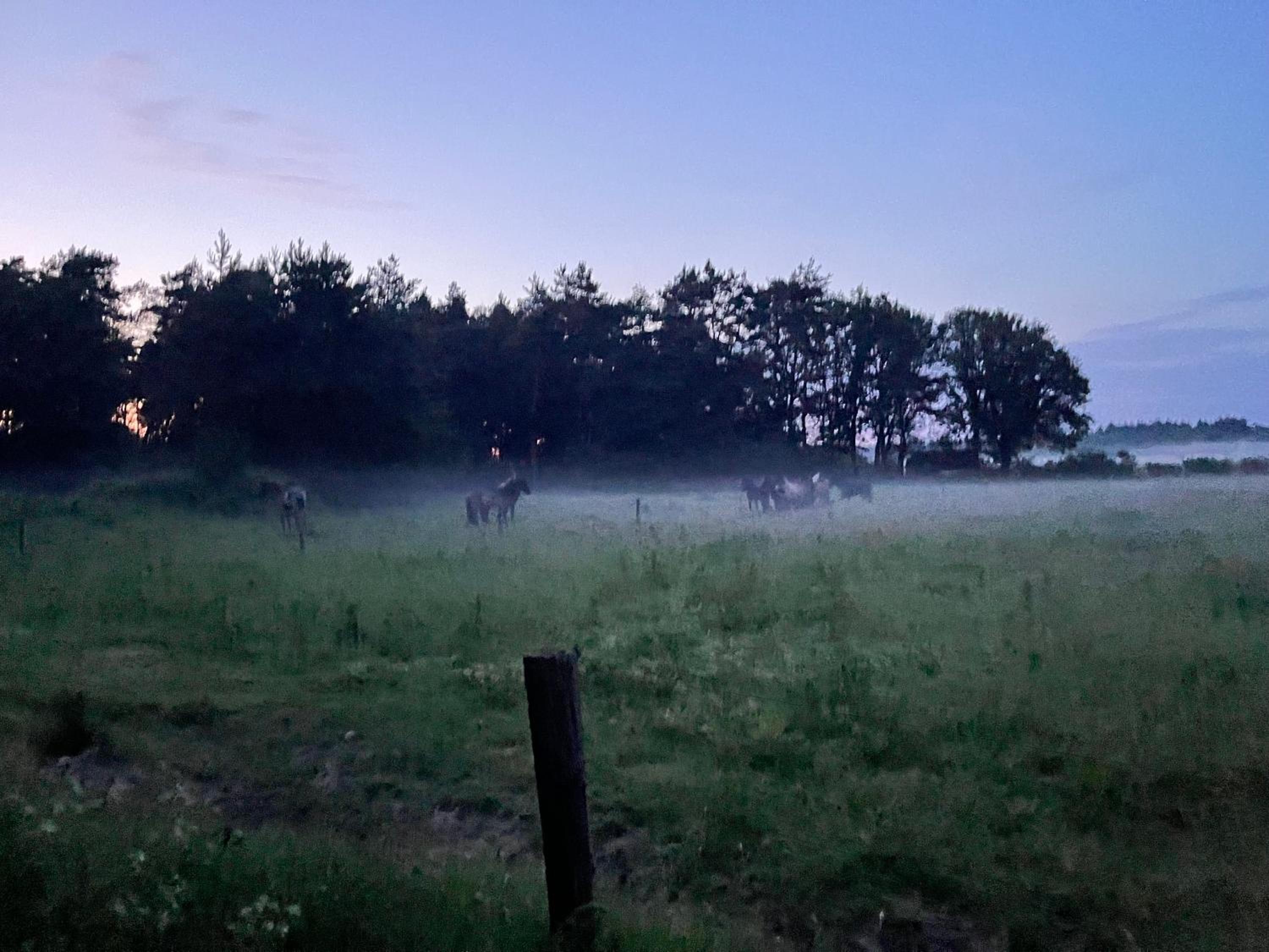 Doevelsteeg Ommen