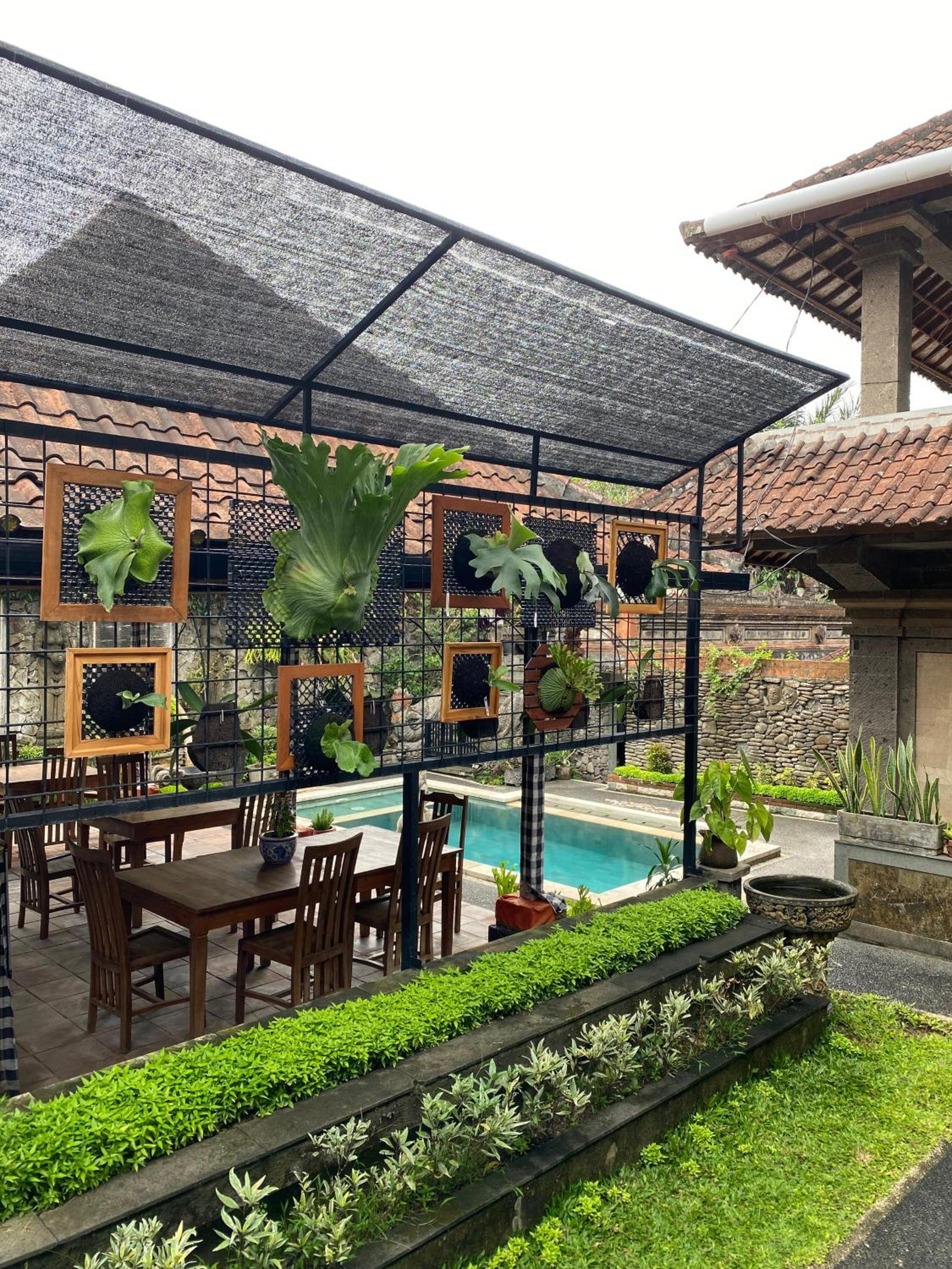 Budi Guest House view 3