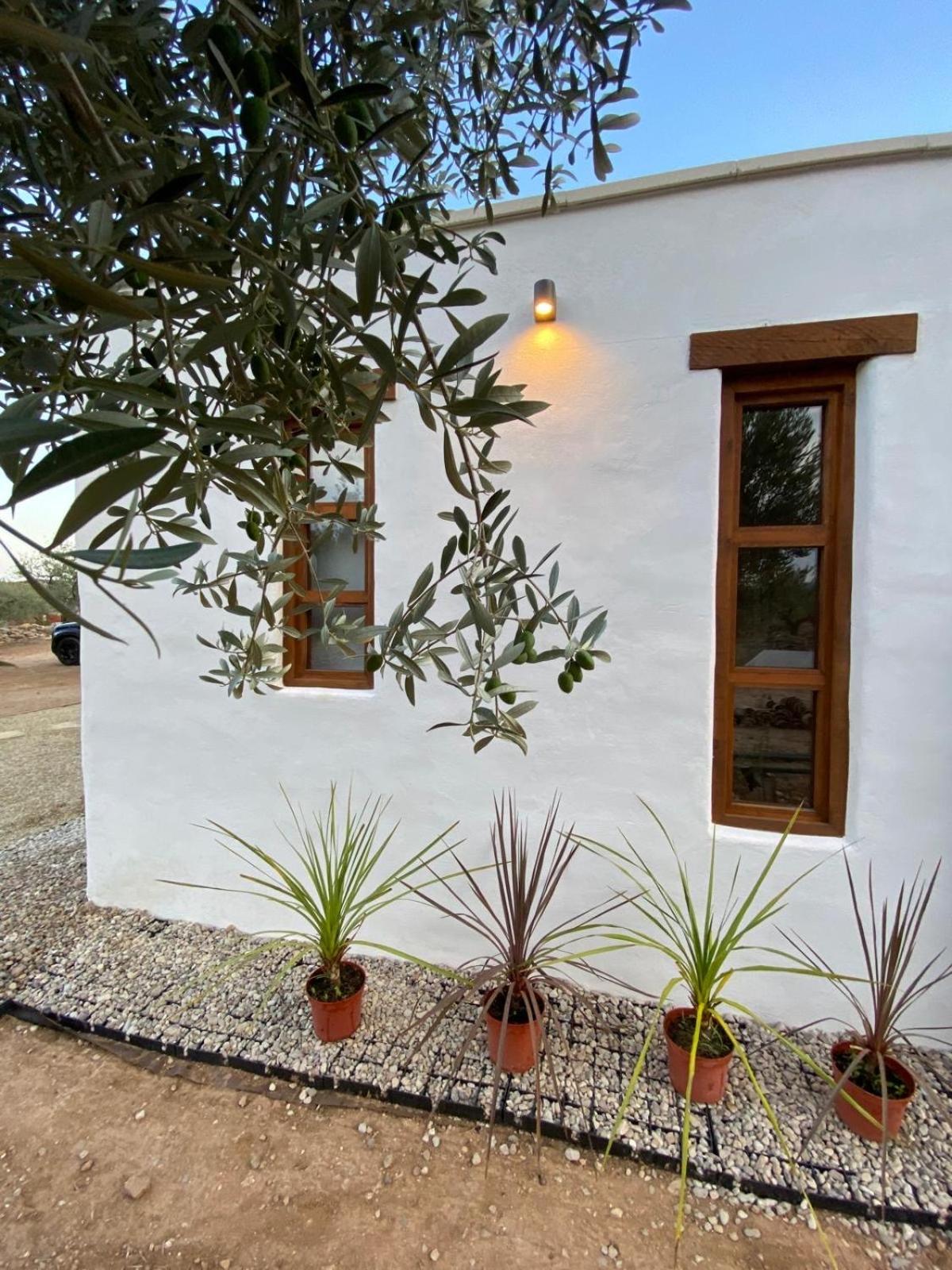 Finca El Olivar