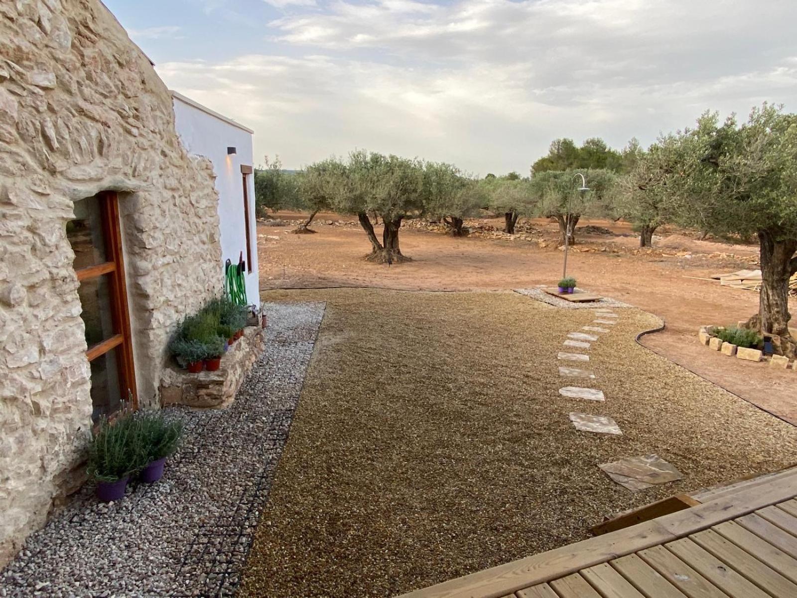 Finca El Olivar