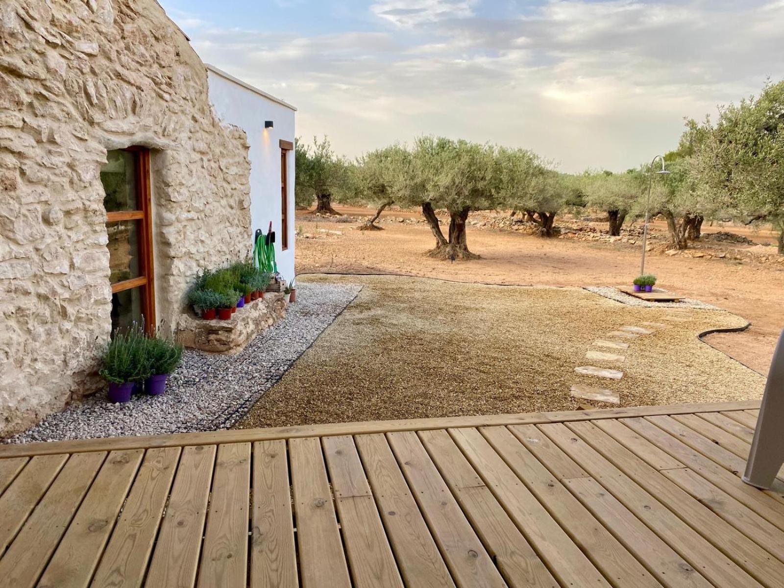 Finca El Olivar
