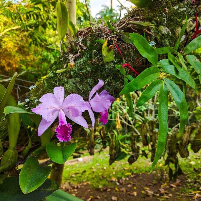 Increíble finca campestre en Cerritos-Pereira