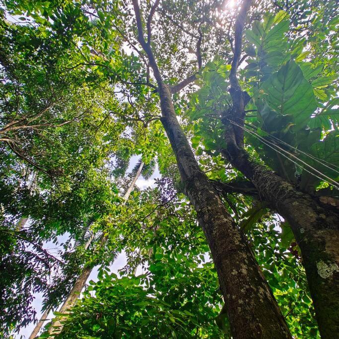 Increíble finca campestre en Cerritos-Pereira