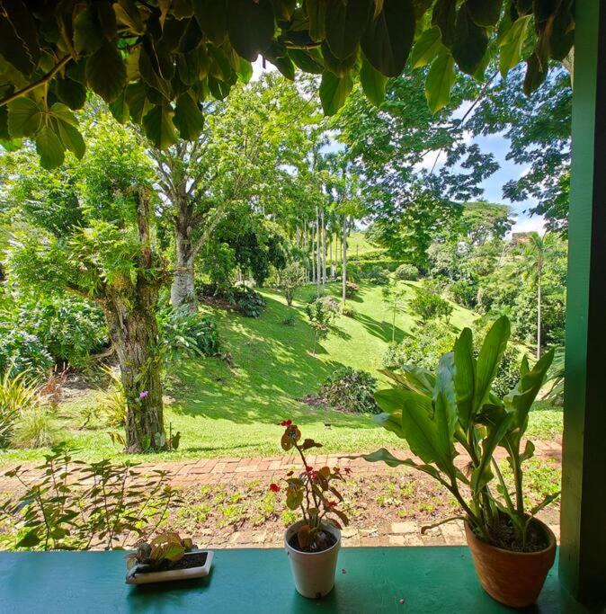 Increíble finca campestre en Cerritos-Pereira