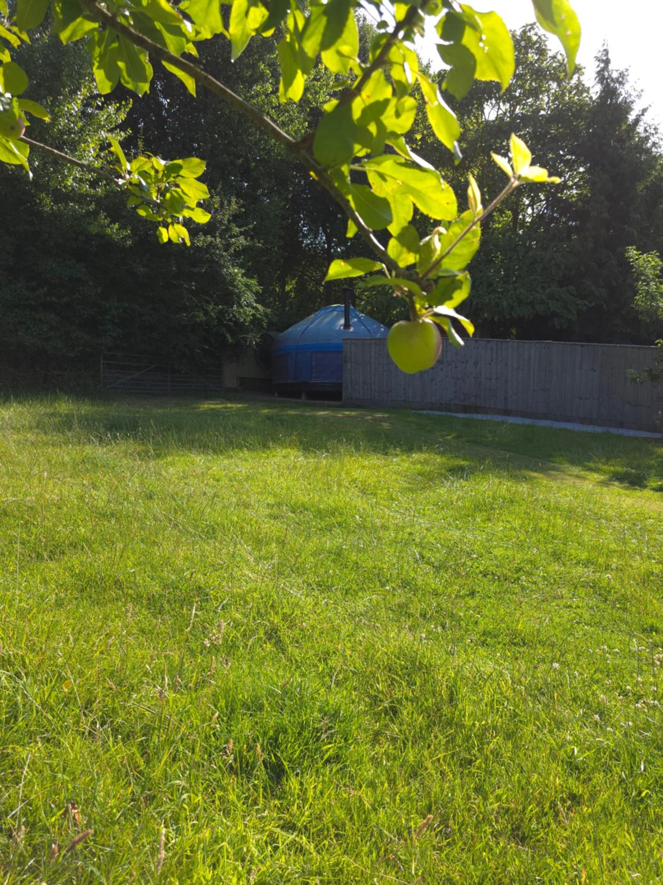 Photo 38