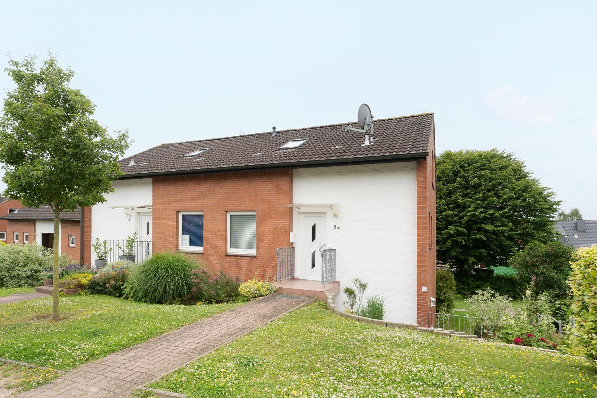 Birkenblick
