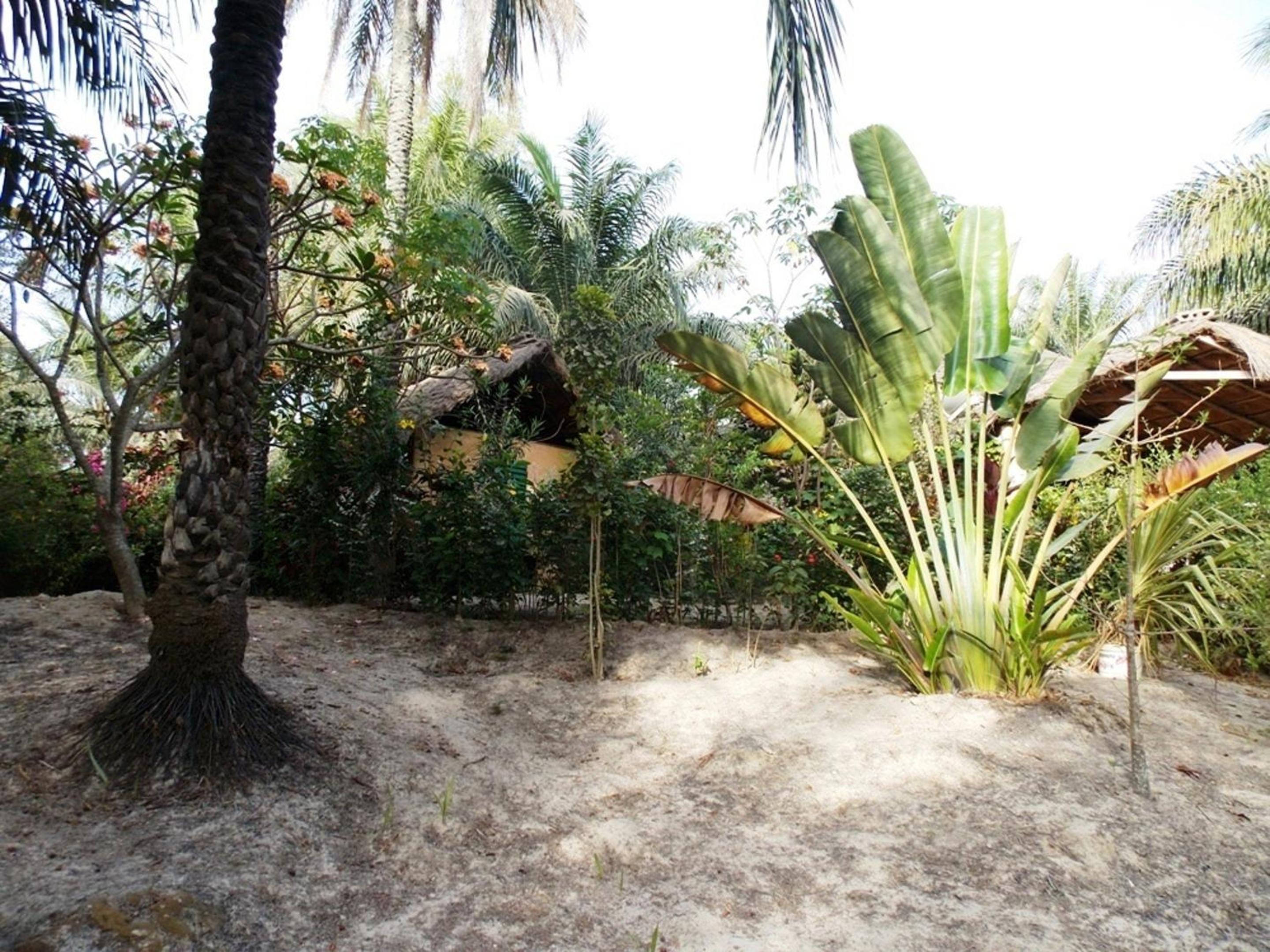 Charming house with private pool in Cap Skirring view 3