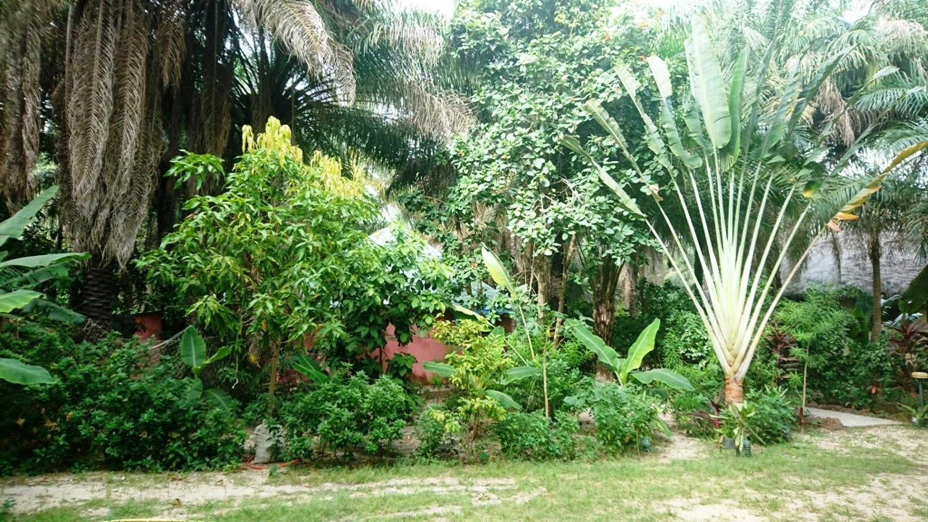 Charming house with private pool in Cap Skirring view 5