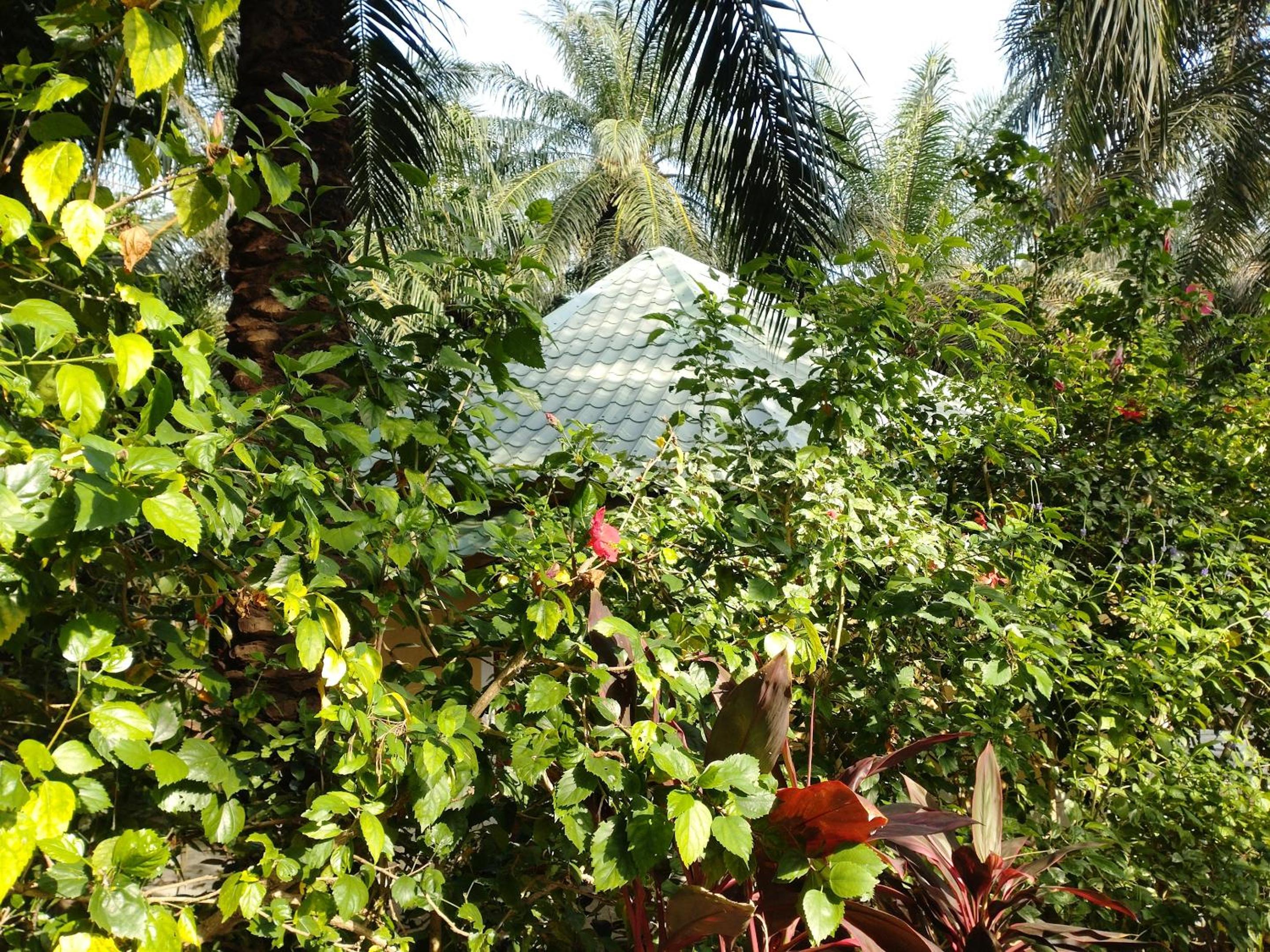 Photo 43