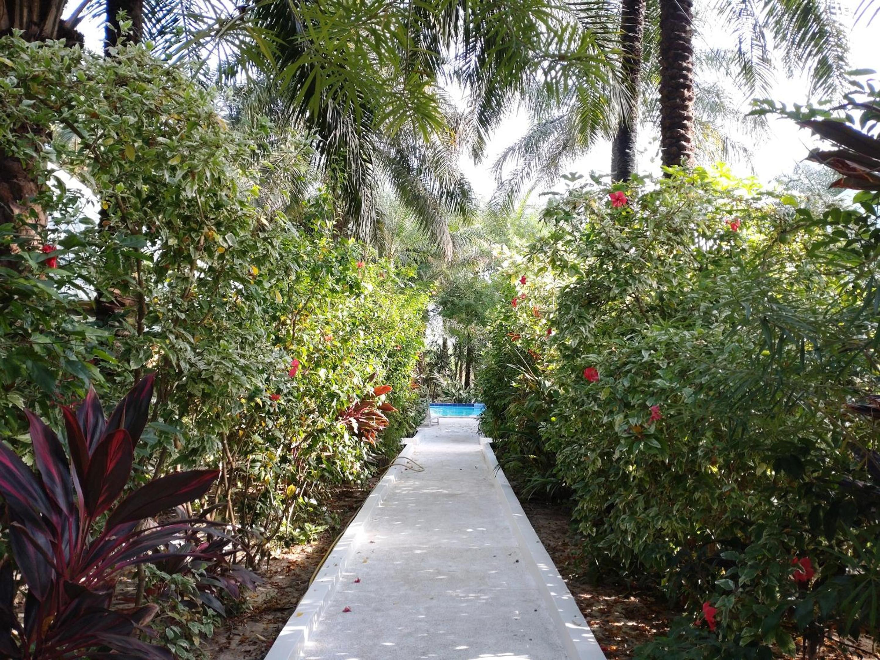 Photo 41