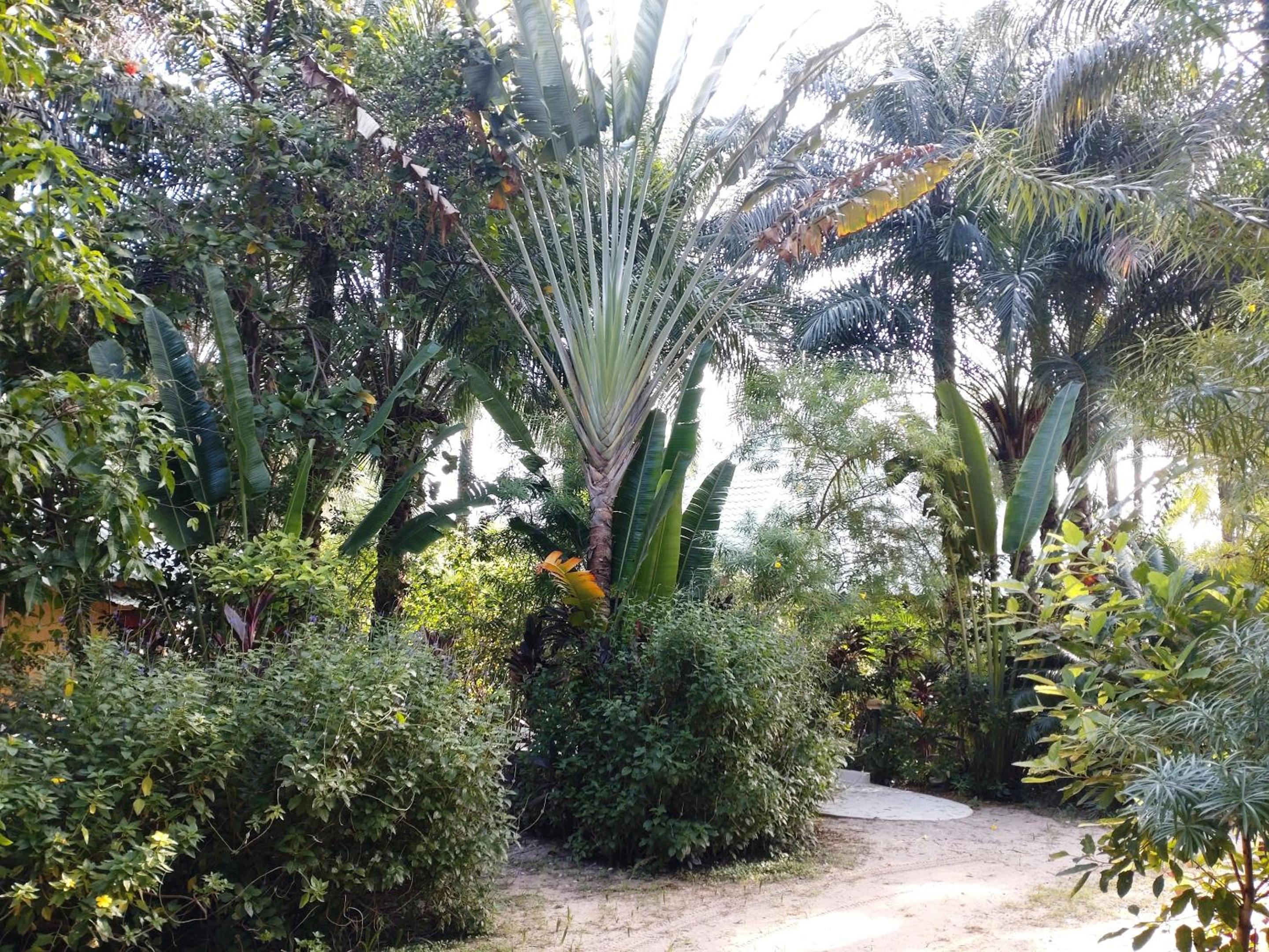 Photo 46