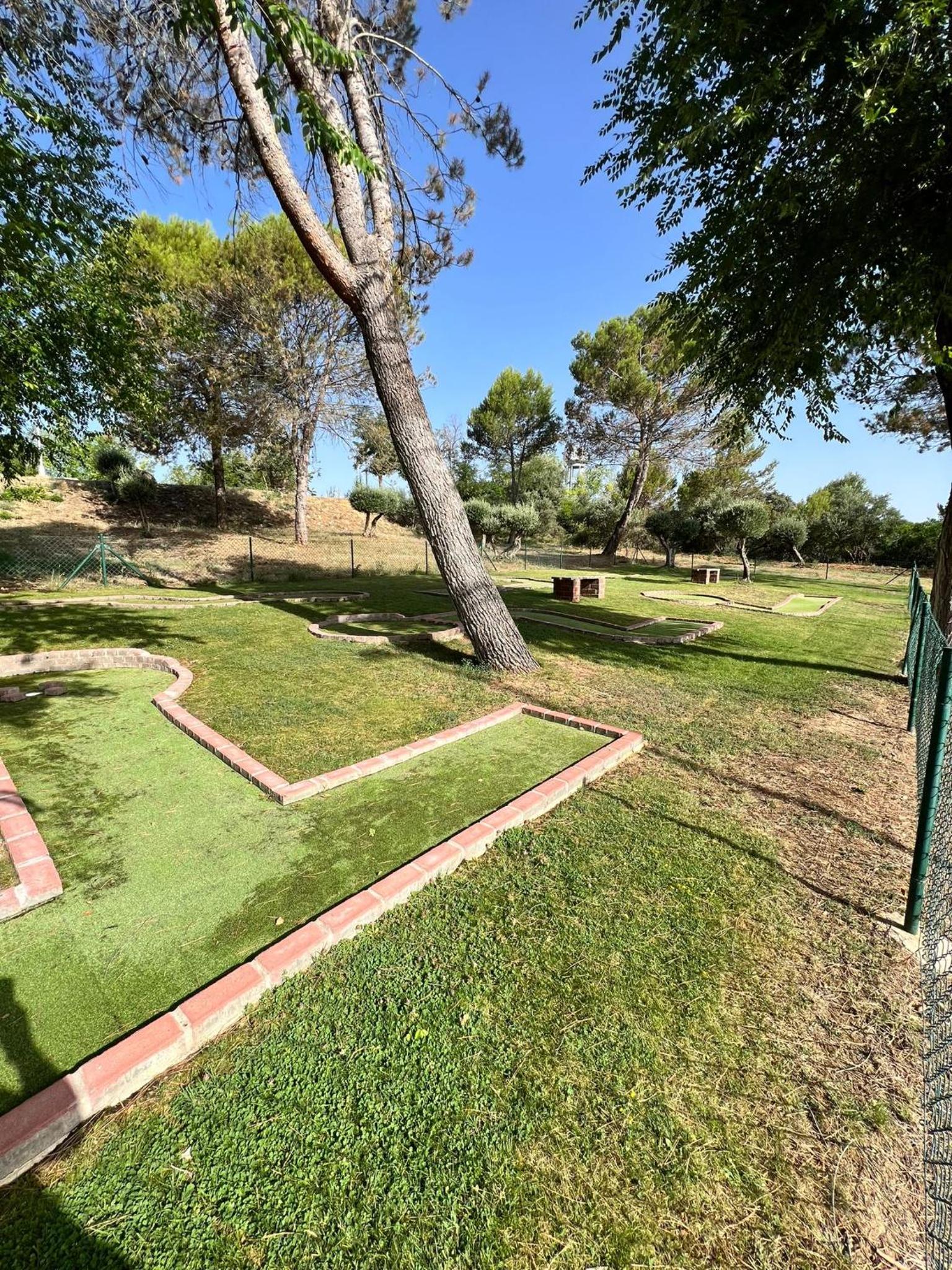 Photo 46