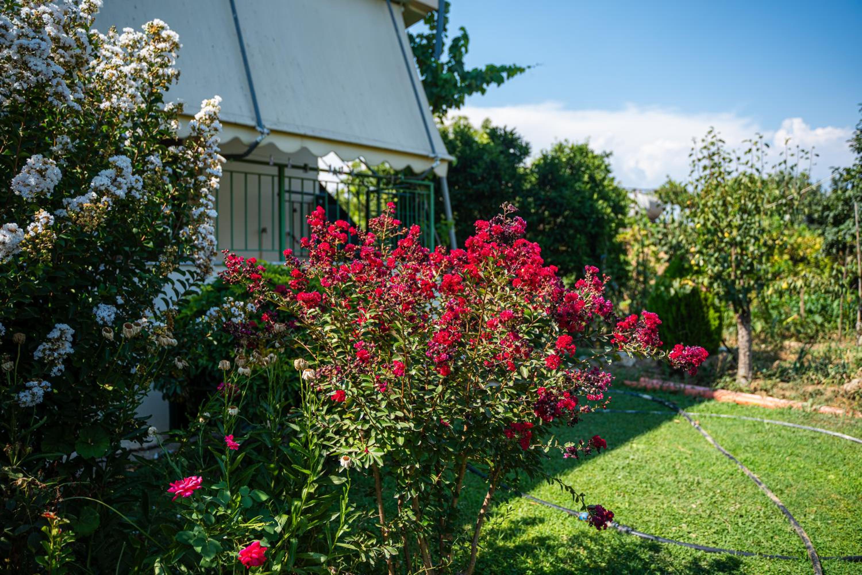 Santa Saranda Villas