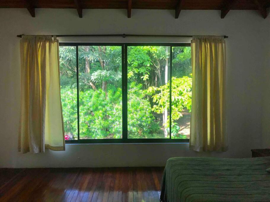 Lofty, fully equipped apartment in the heart of Montezuma