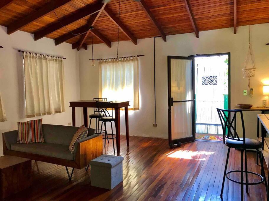 Lofty, fully equipped apartment in the heart of Montezuma