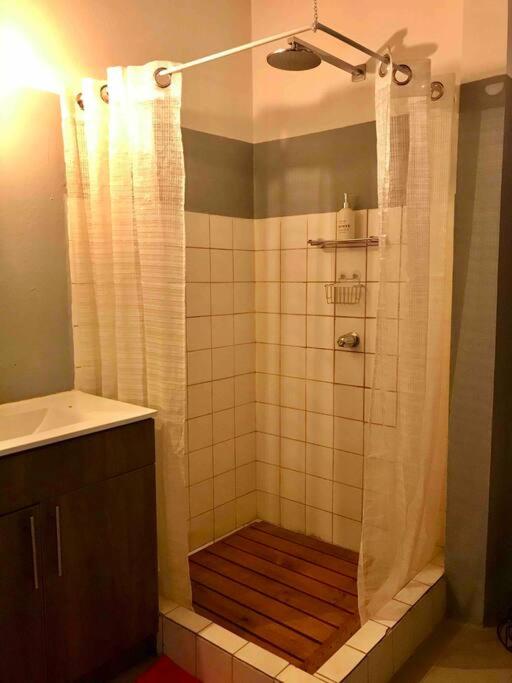 Lofty, fully equipped apartment in the heart of Montezuma