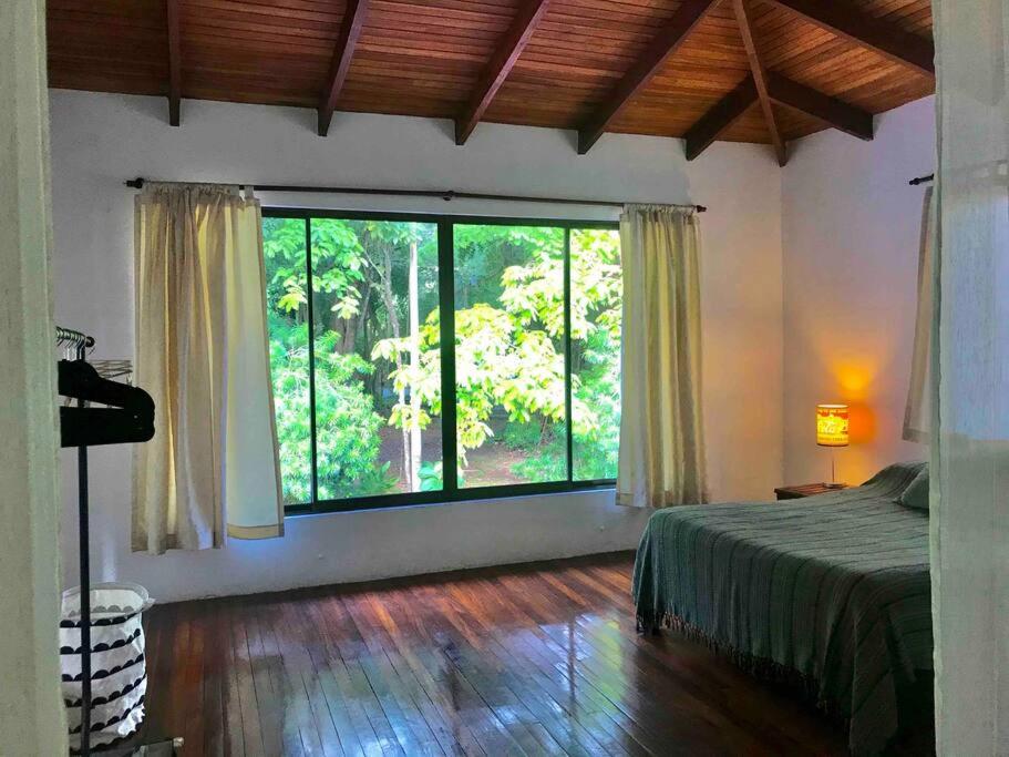 Lofty, fully equipped apartment in the heart of Montezuma
