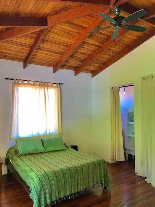 Lofty, fully equipped apartment in the heart of Montezuma