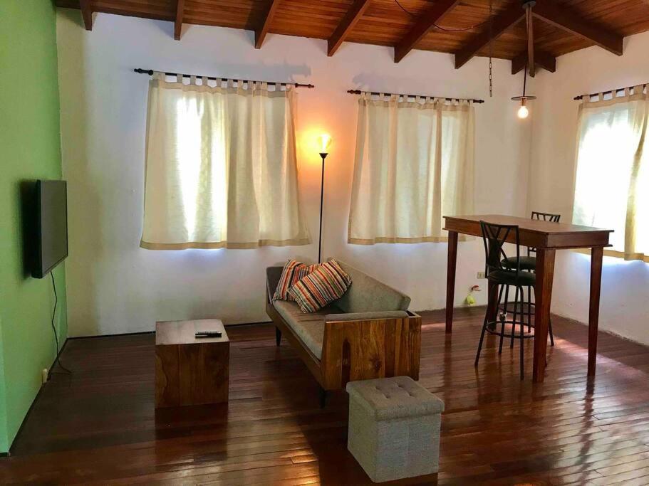 Lofty, fully equipped apartment in the heart of Montezuma