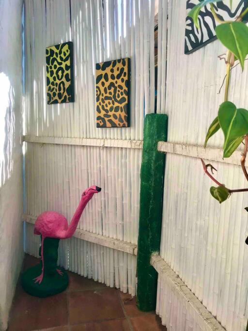 Lofty, fully equipped apartment in the heart of Montezuma