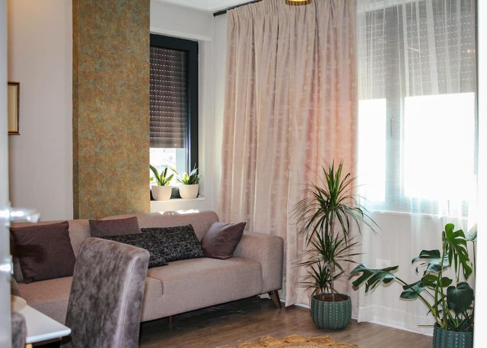 Central flower apartment 2