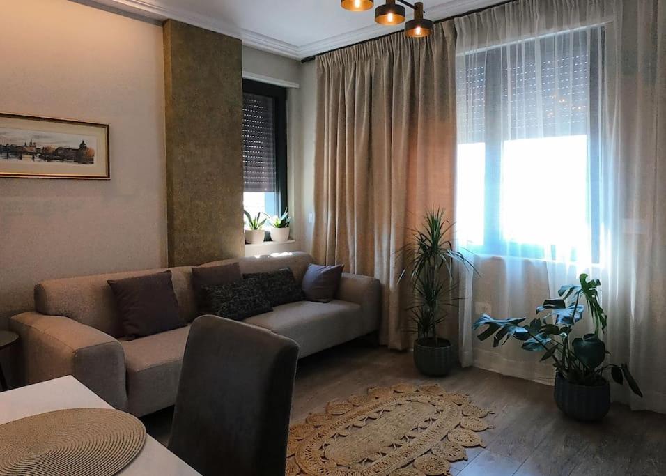 Central flower apartment 2