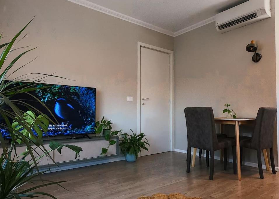 Central flower apartment 2