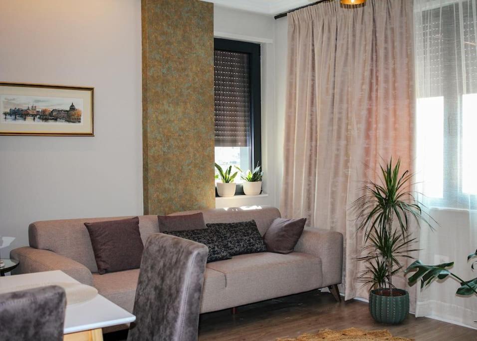 Central flower apartment 2