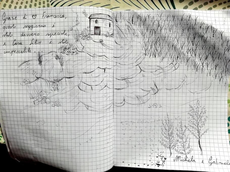 Photo 38