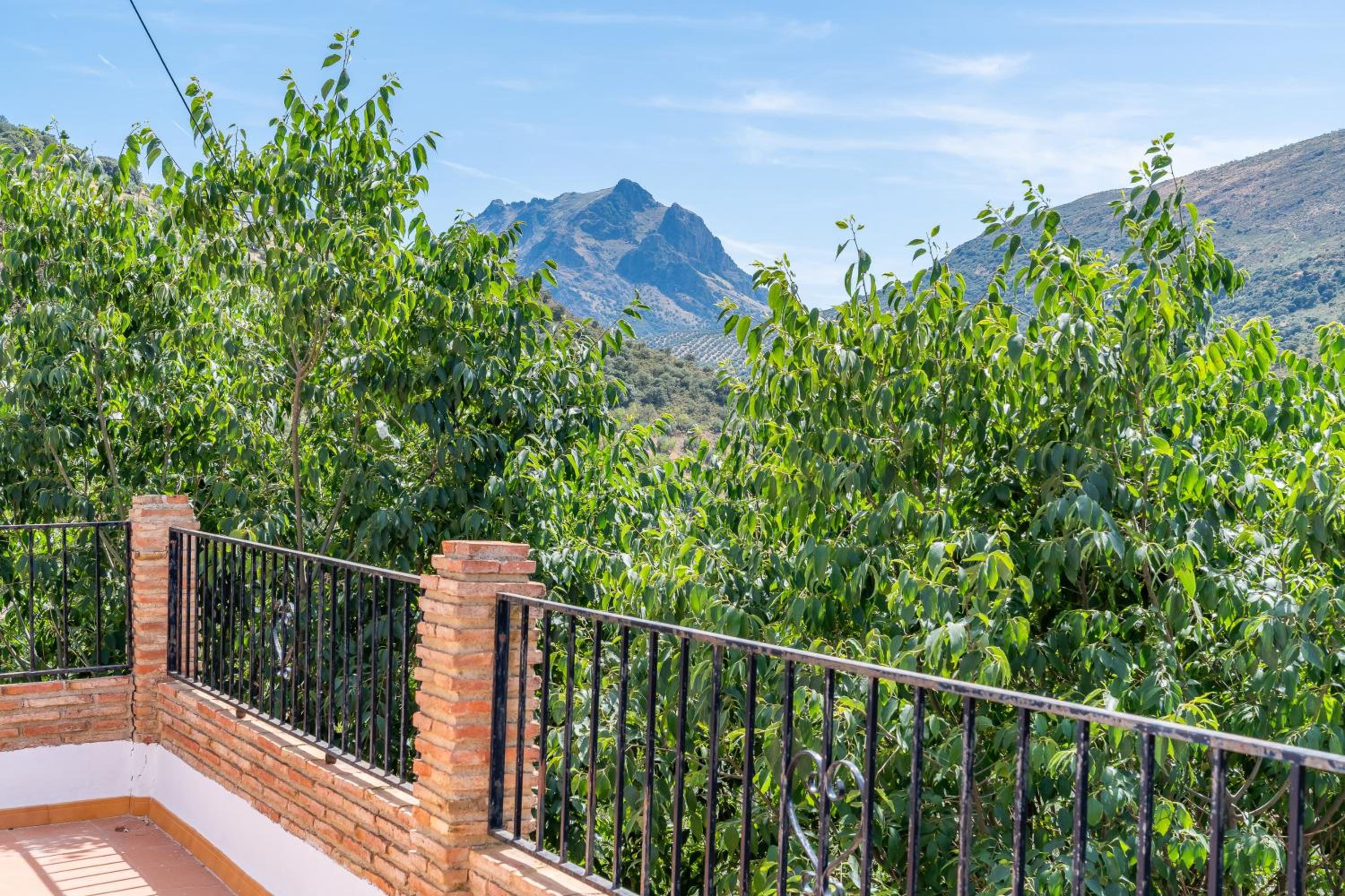 Cerro de la Cruz, centro de Andalucía PLANETRURAL view 5