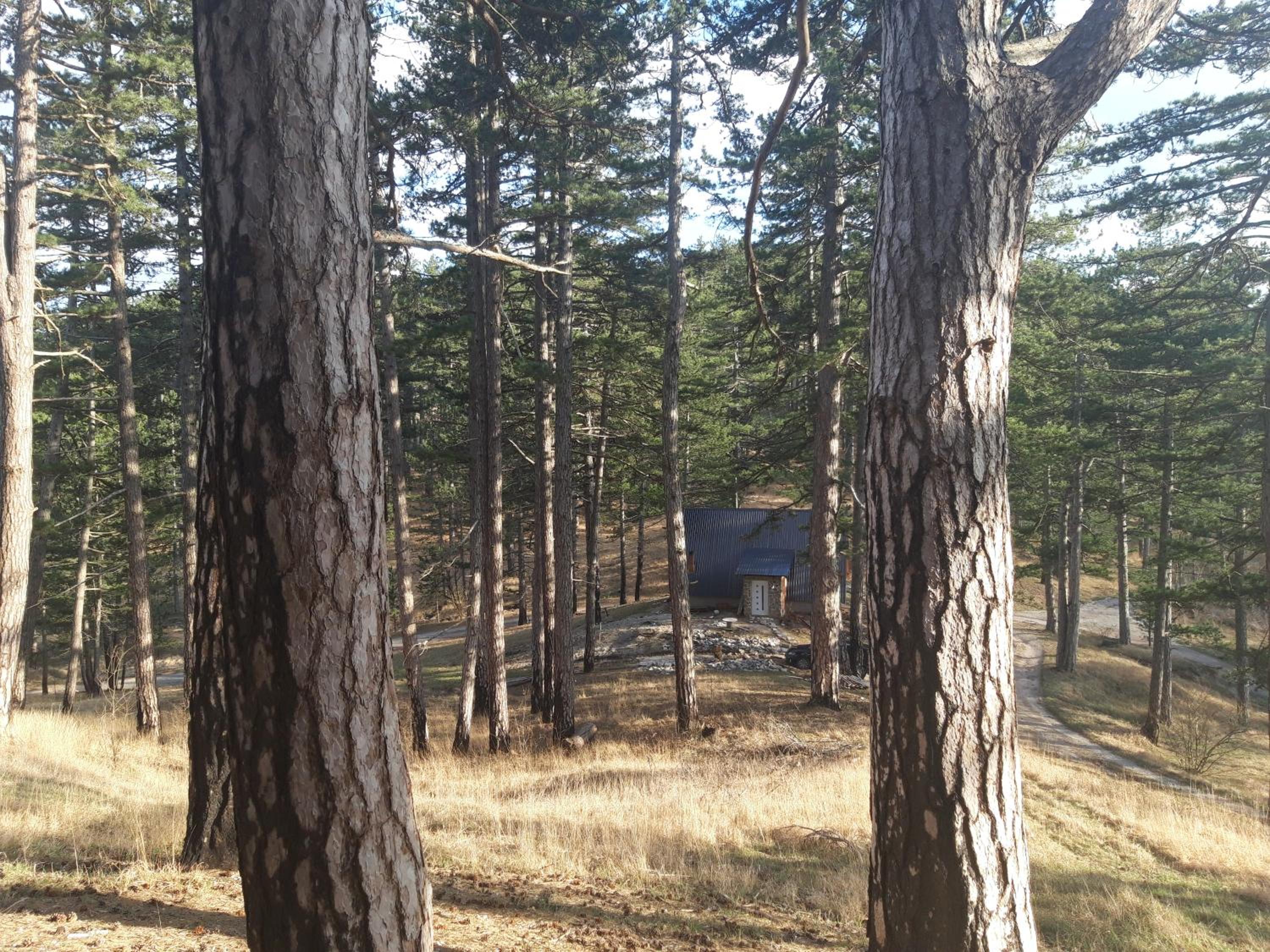 Vila Bijeli Put