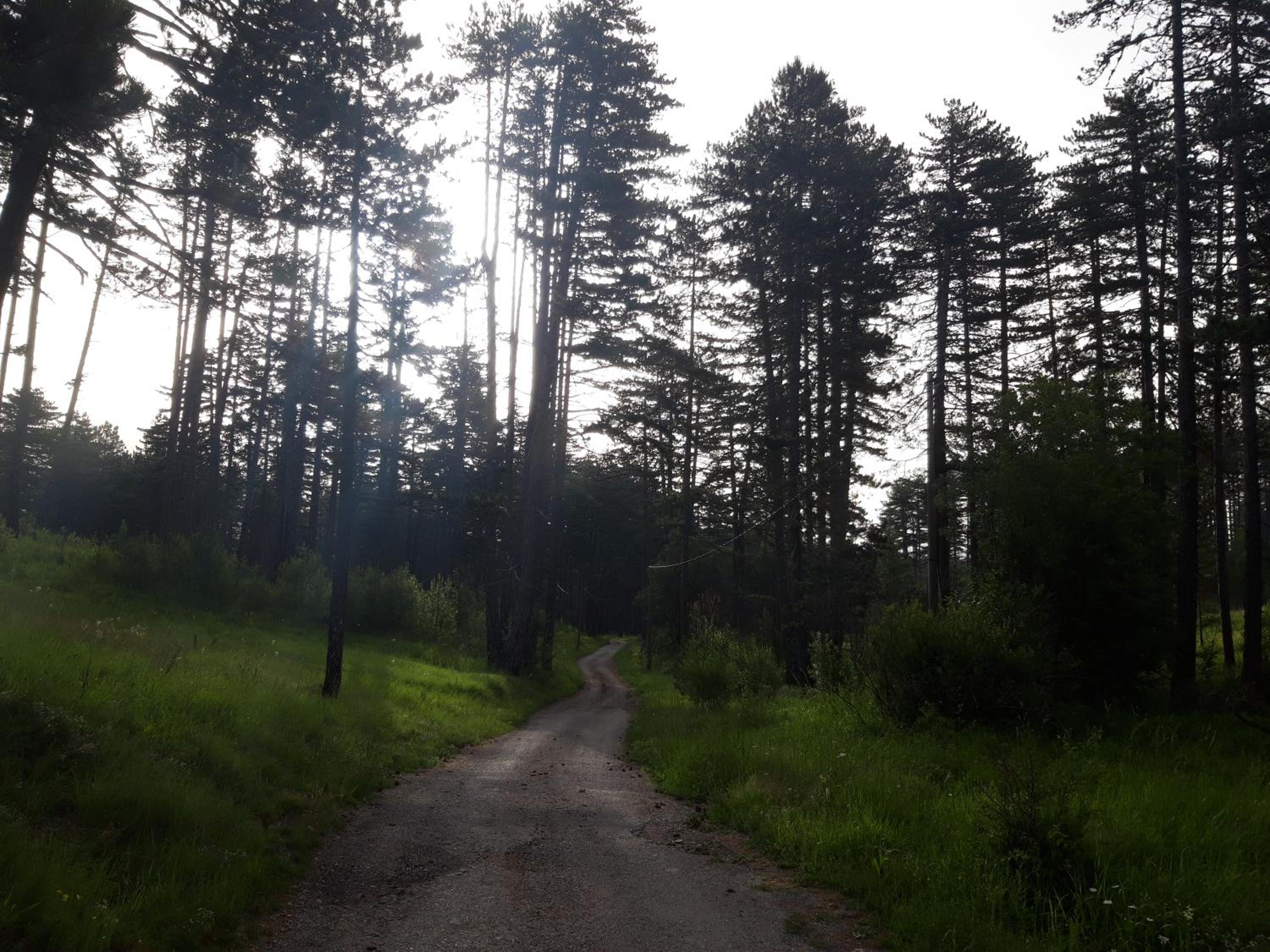 Vila Bijeli Put
