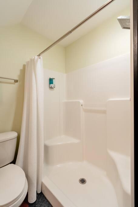 Stay Portland - Quirky Micro Apt - Foodies, Artists, Coffee Lovers view 5